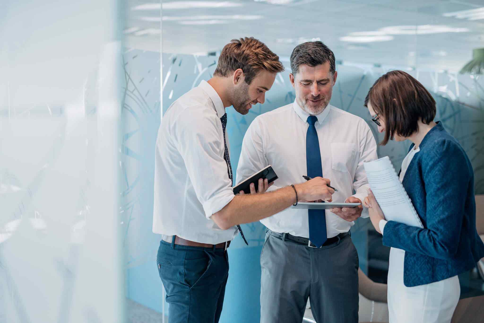 Building a new world